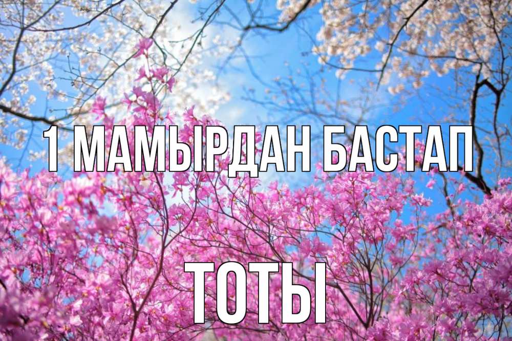 Күн сайын ашық хат с именем, ТОТЫ 1 мамырдан бастап С 1 мая Онлайн тегін жүктеп алу тілектері бар керемет карта 