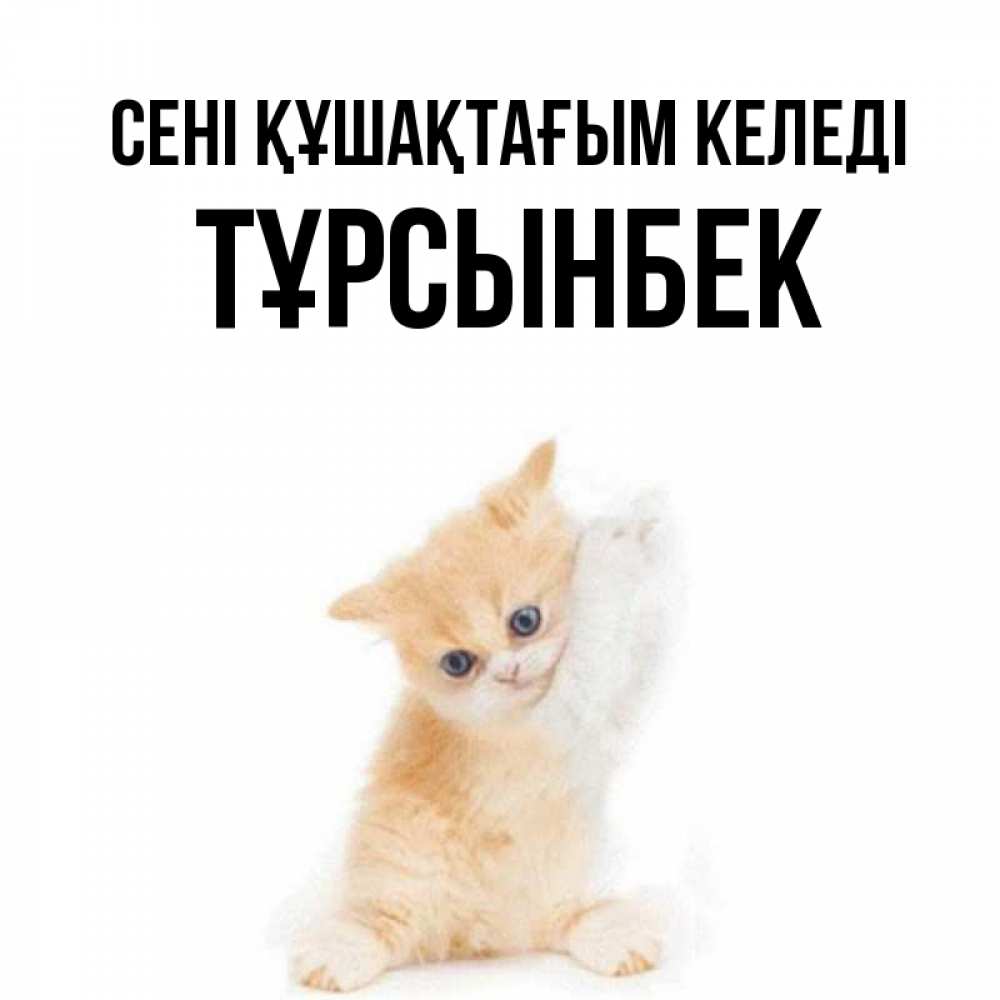 Күн сайын ашық хат с именем, ТҰРСЫНБЕК сені құшақтағым келеді я хочу очень скорее обнимаешек Онлайн тегін жүктеп алу тілектері бар керемет карта 