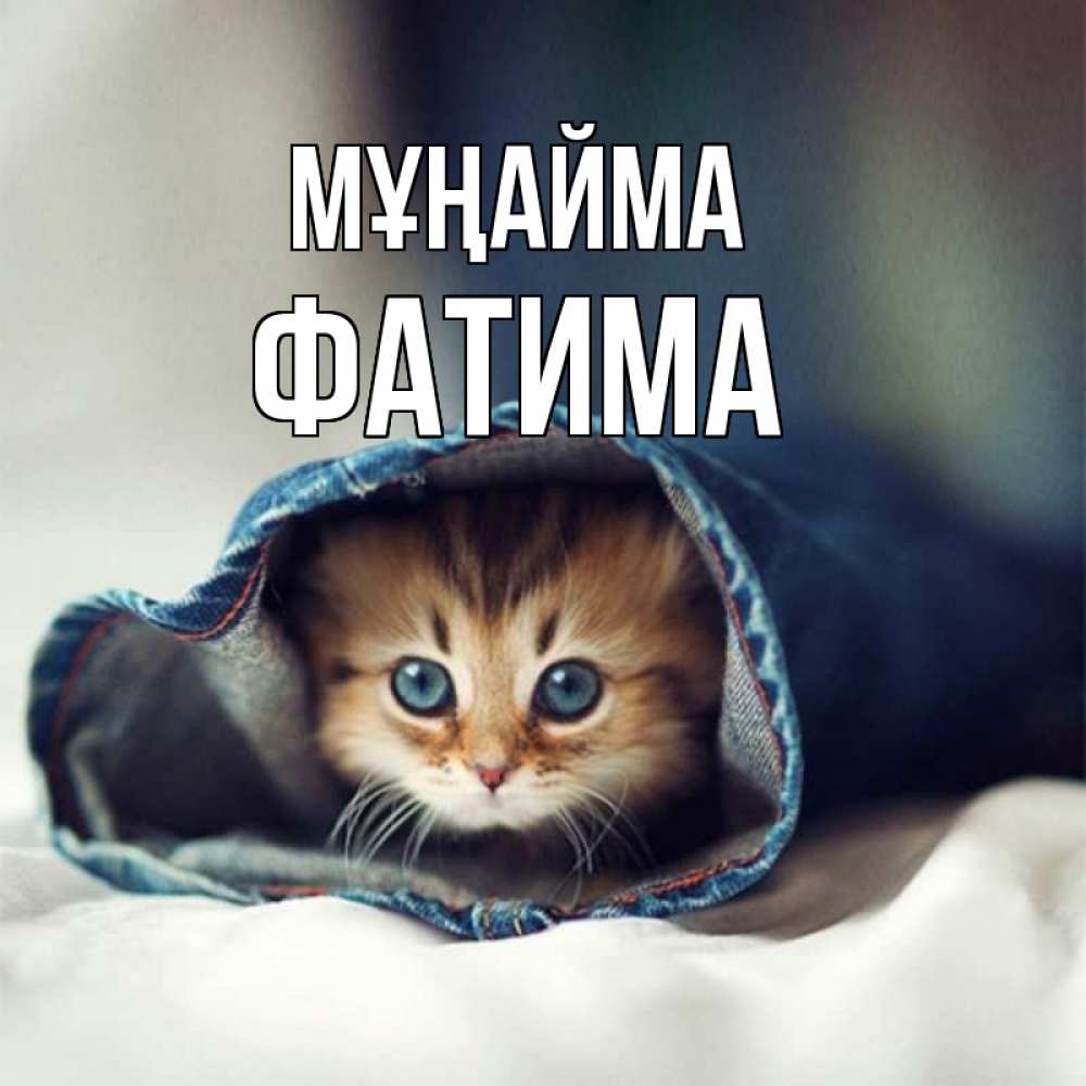 Күн сайын ашық хат с именем, ФАТИМА Мұңайма рыжик котик Онлайн тегін жүктеп алу тілектері бар керемет карта 