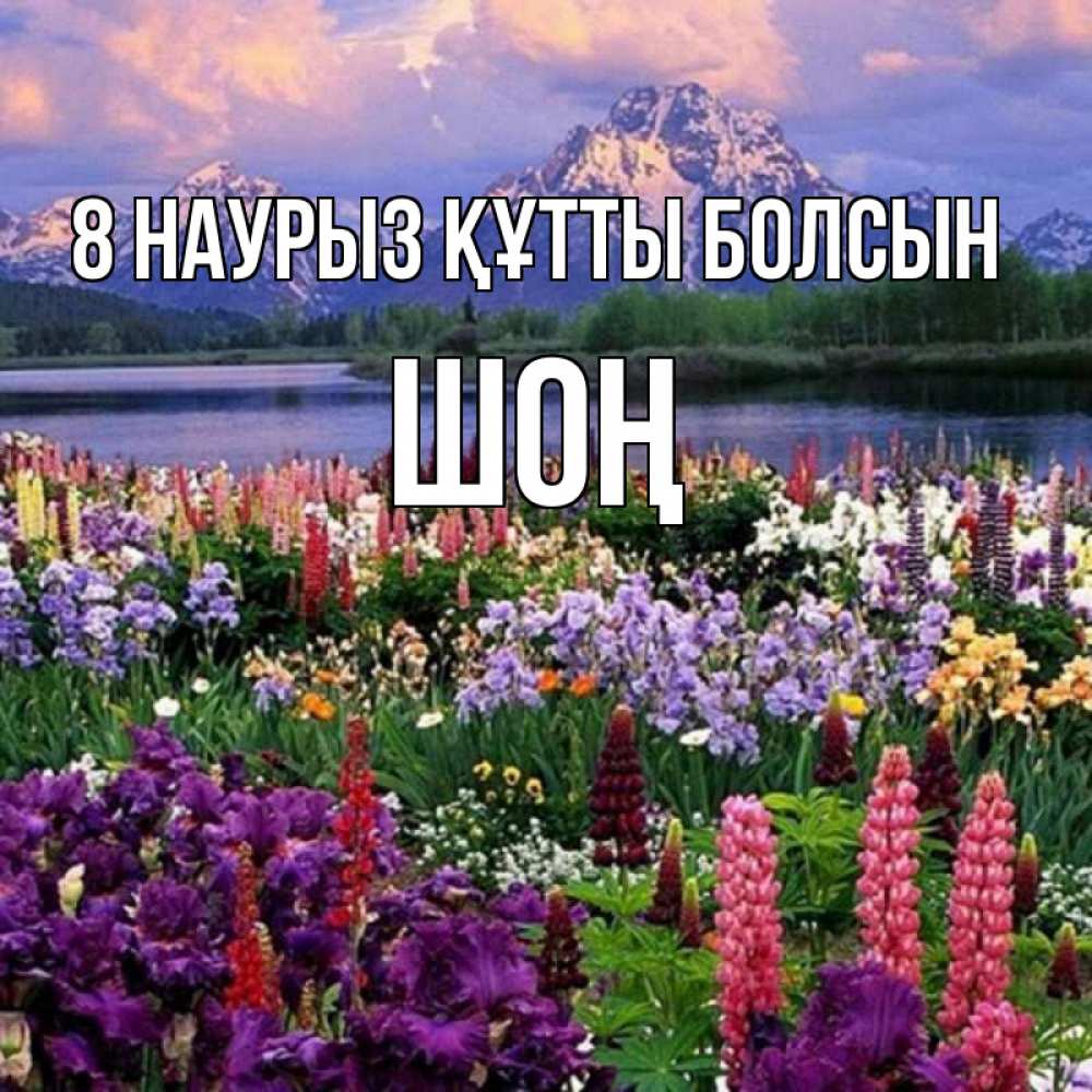 Күн сайын ашық хат с именем, ШОҢ 8 наурыз құтты болсын международный женский день Онлайн тегін жүктеп алу тілектері бар керемет карта 