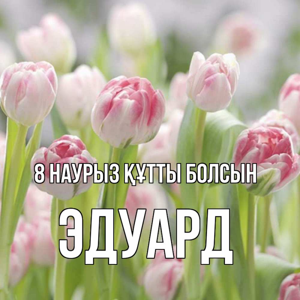 Күн сайын ашық хат с именем, Эдуард 8 наурыз құтты болсын цветы Онлайн тегін жүктеп алу тілектері бар керемет карта 