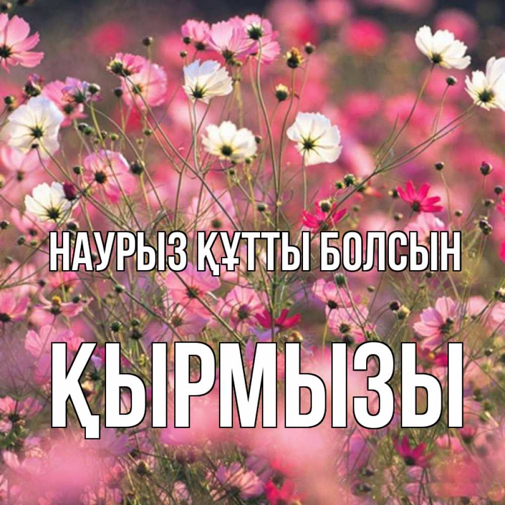 Күн сайын ашық хат с именем, ҚЫРМЫЗЫ Наурыз құтты болсын красиво 1 Онлайн тегін жүктеп алу тілектері бар керемет карта 
