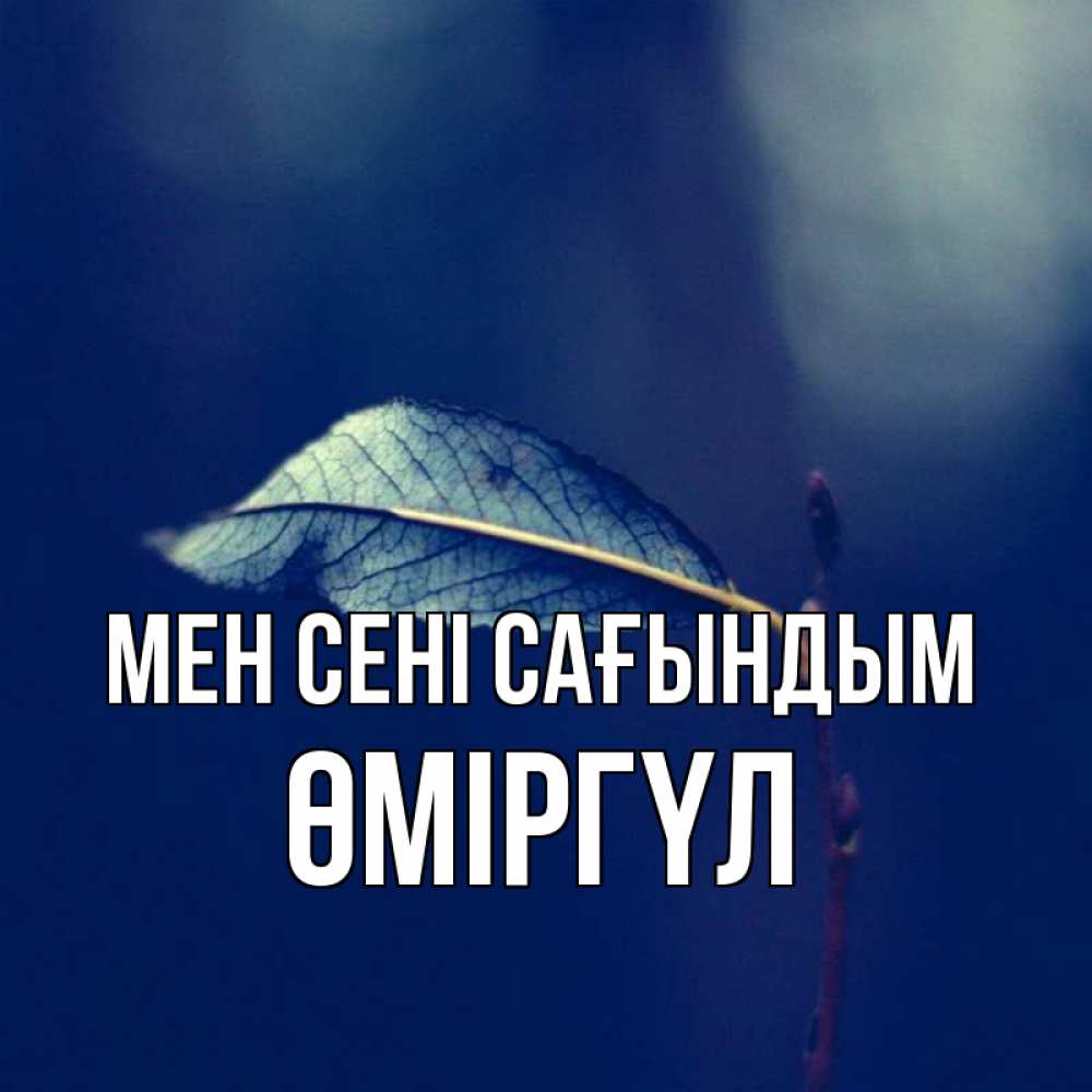 Күн сайын ашық хат с именем, ӨМІРГҮЛ Мен сені сағындым одна ветка 1 Онлайн тегін жүктеп алу тілектері бар керемет карта 
