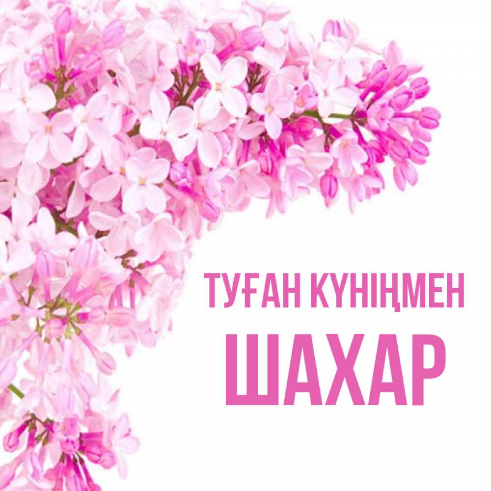 Күн сайын ашық хат с именем, ШАХАР Туған күніңмен Сирень на белом фоне Онлайн тегін жүктеп алу тілектері бар керемет карта 