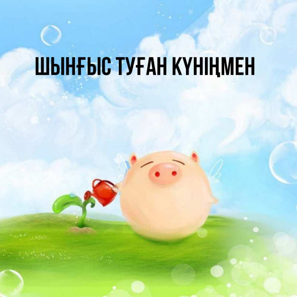 Картинка  с именем , ШЫНҒЫС! ТУҒАН КҮНІҢМЕН!