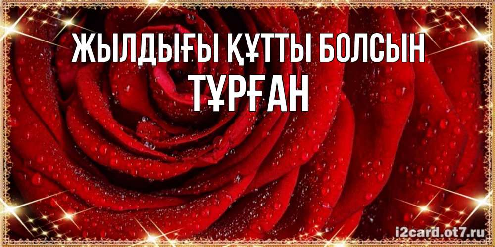 Күн сайын ашық хат с именем, ТҰРҒАН Жылдығы құтты болсын роса на розе блестящая в лучах солнца Онлайн тегін жүктеп алу тілектері бар керемет карта 