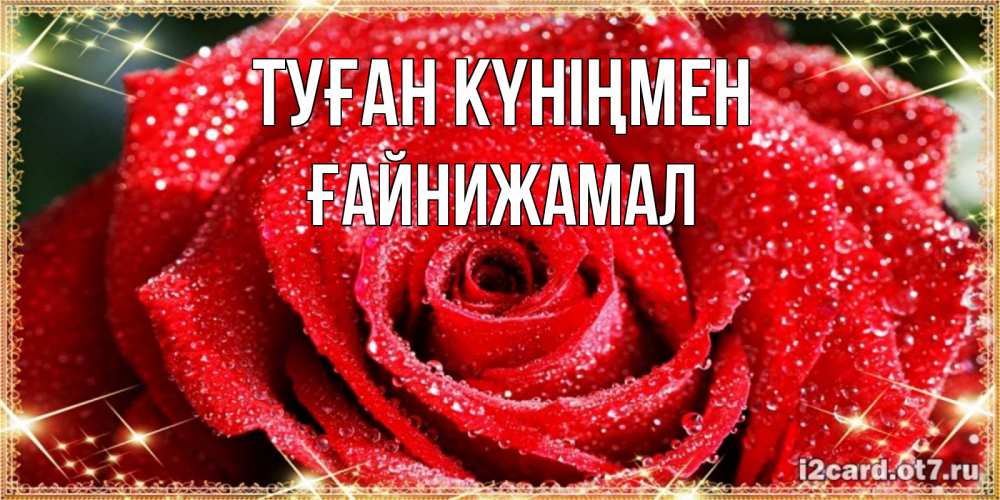 Күн сайын ашық хат с именем, ҒАЙНИЖАМАЛ Туған күніңмен роса и роза. открытка с красивой розой Онлайн тегін жүктеп алу тілектері бар керемет карта 