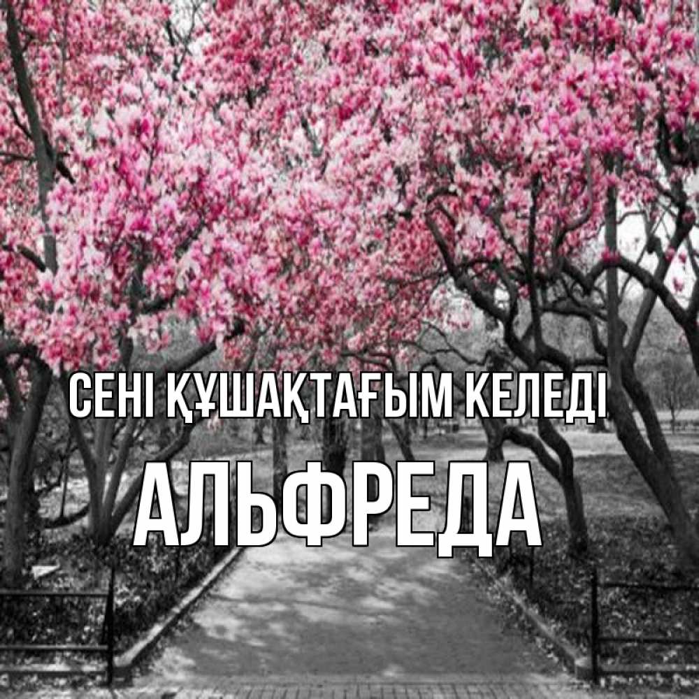 Күн сайын ашық хат с именем, Альфреда сені құшақтағым келеді обработанное фото Онлайн тегін жүктеп алу тілектері бар керемет карта 