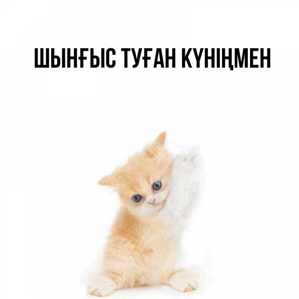 Картинка  с именем , ШЫНҒЫС! ТУҒАН КҮНІҢМЕН!