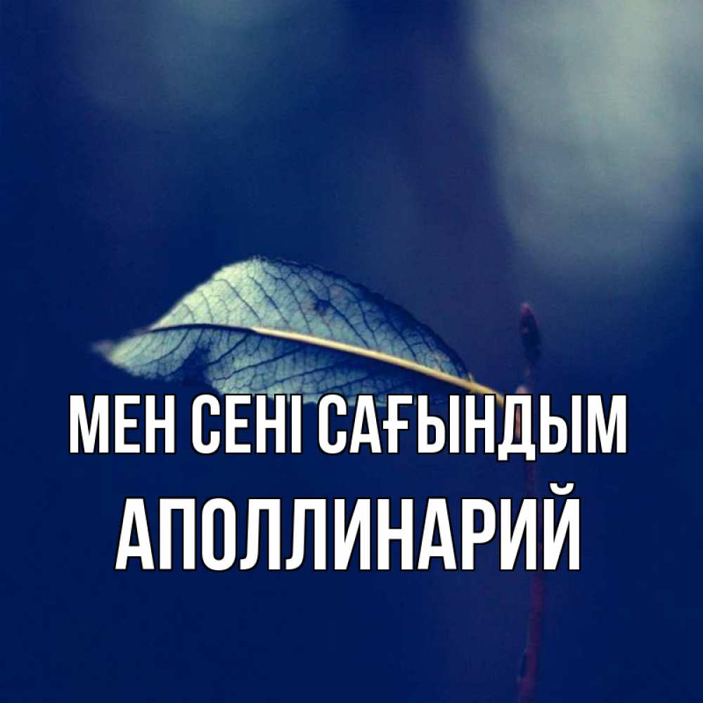 Күн сайын ашық хат с именем, Аполлинарий Мен сені сағындым одна ветка 1 Онлайн тегін жүктеп алу тілектері бар керемет карта 