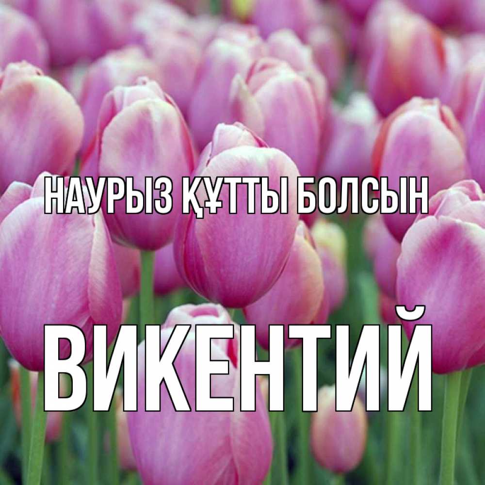 Күн сайын ашық хат с именем, Викентий Наурыз құтты болсын на наурыз  день 3 Онлайн тегін жүктеп алу тілектері бар керемет карта 