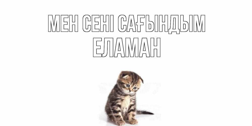 Күн сайын ашық хат с именем, Еламан Мен сені сағындым кот Онлайн тегін жүктеп алу тілектері бар керемет карта 