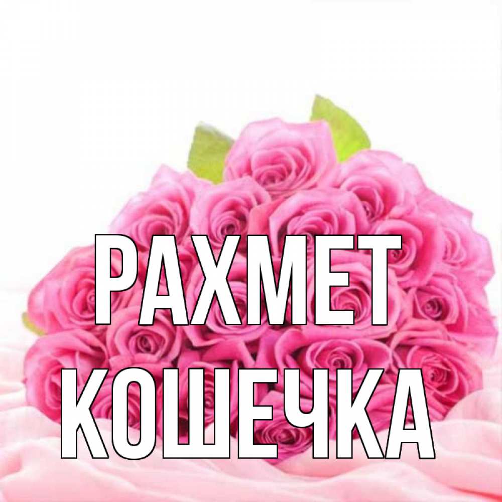 Күн сайын ашық хат с именем, Кошечка рахмет розовые розы с подписью Онлайн тегін жүктеп алу тілектері бар керемет карта 