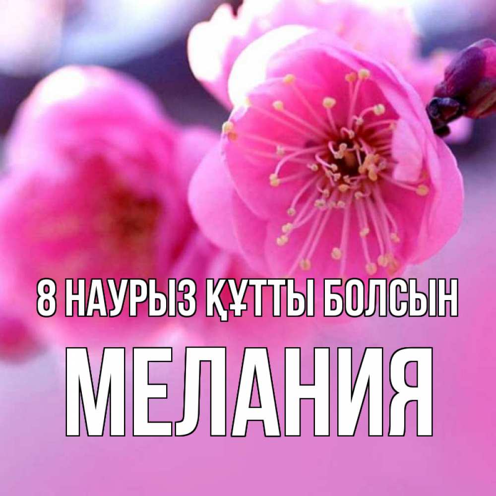 Күн сайын ашық хат с именем, Мелания 8 наурыз құтты болсын международный женский день Онлайн тегін жүктеп алу тілектері бар керемет карта 