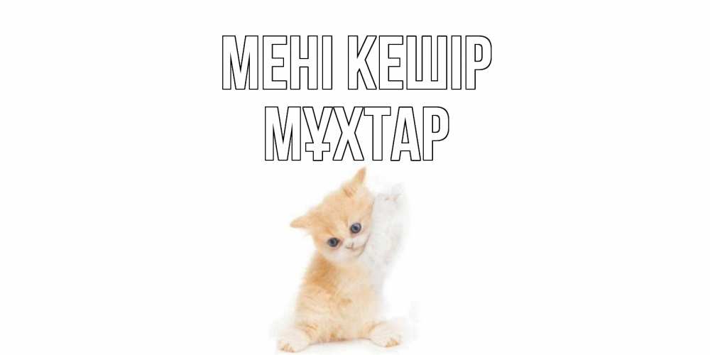 Күн сайын ашық хат с именем, МҰХТАР Мені кешір кот Онлайн тегін жүктеп алу тілектері бар керемет карта 