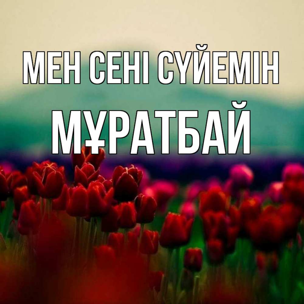 Күн сайын ашық хат с именем, Мұратбай Мен сені сүйемін тюльпаны 4 Онлайн тегін жүктеп алу тілектері бар керемет карта 