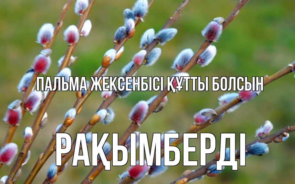 Күн сайын ашық хат с именем, Рақымберді Пальма жексенбісі құтты болсын верба Онлайн тегін жүктеп алу тілектері бар керемет карта 