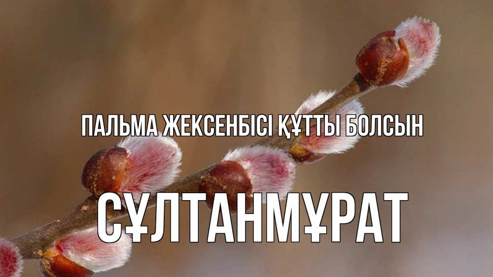 Күн сайын ашық хат с именем, СҰЛТАНМҰРАТ Пальма жексенбісі құтты болсын верба Онлайн тегін жүктеп алу тілектері бар керемет карта 