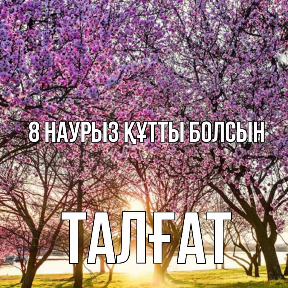 Күн сайын ашық хат с именем, ТАЛҒАТ 8 наурыз құтты болсын международный женский день Онлайн тегін жүктеп алу тілектері бар керемет карта 