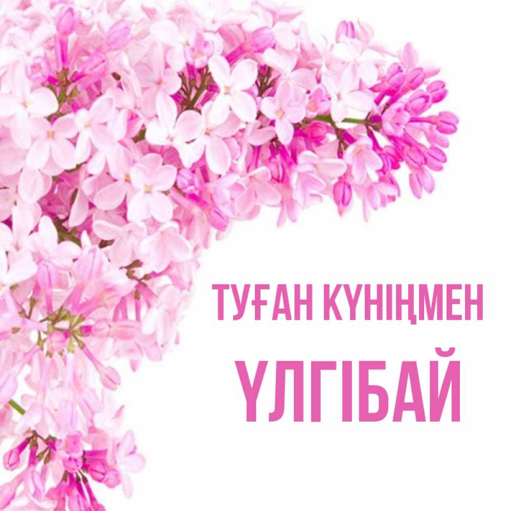 Күн сайын ашық хат с именем, ҮЛГІБАЙ Туған күніңмен Сирень на белом фоне Онлайн тегін жүктеп алу тілектері бар керемет карта 