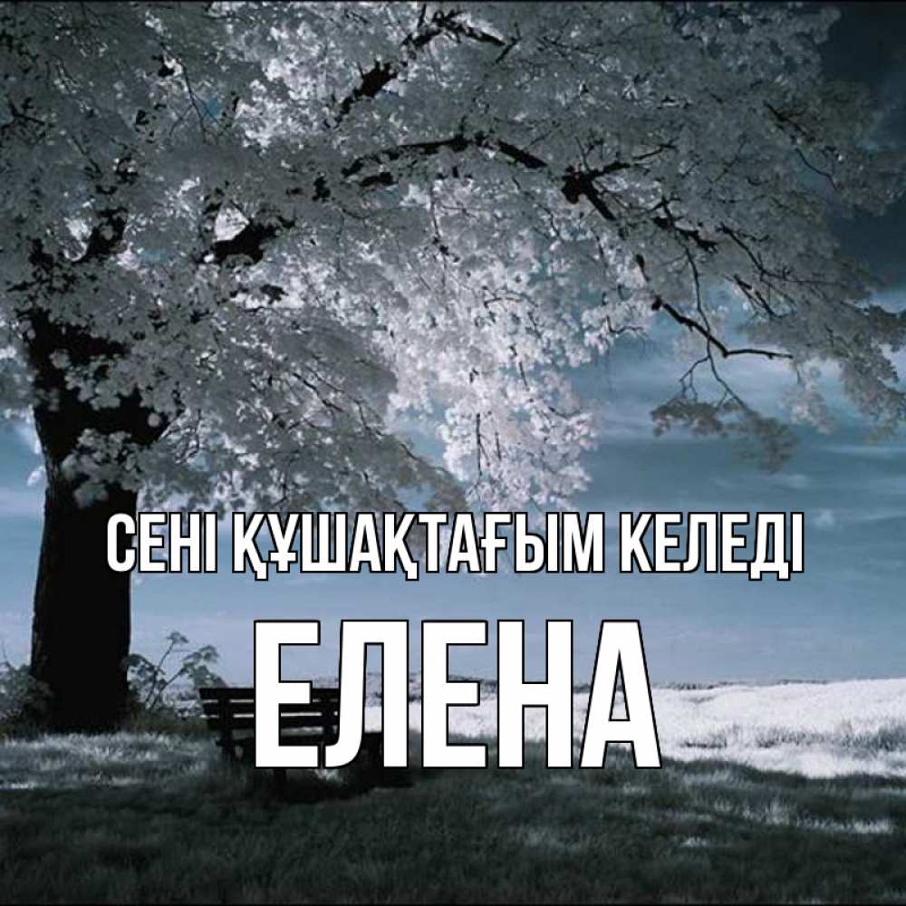 Күн сайын ашық хат с именем, Елена сені құшақтағым келеді дерево Онлайн тегін жүктеп алу тілектері бар керемет карта 