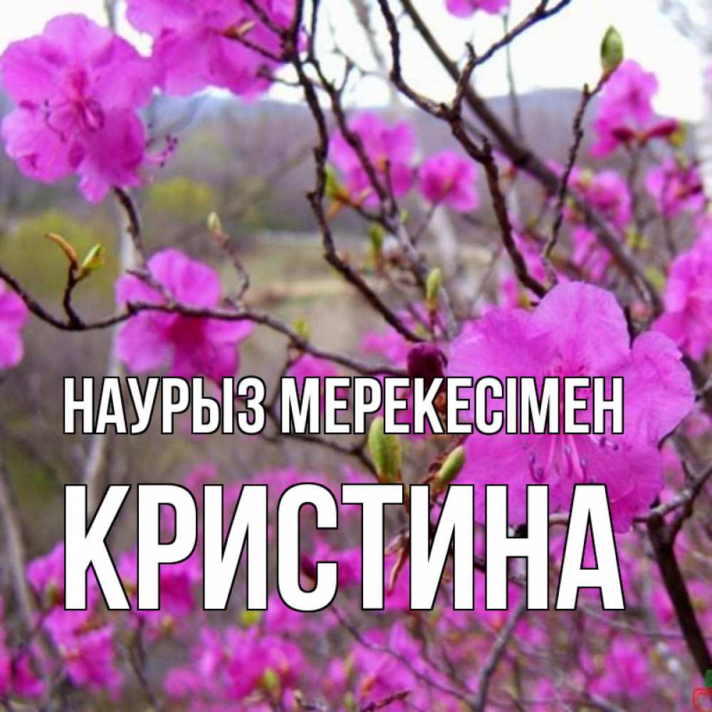 Күн сайын ашық хат с именем, Кристина Наурыз мерекесімен праздник весны наурыз Онлайн тегін жүктеп алу тілектері бар керемет карта 