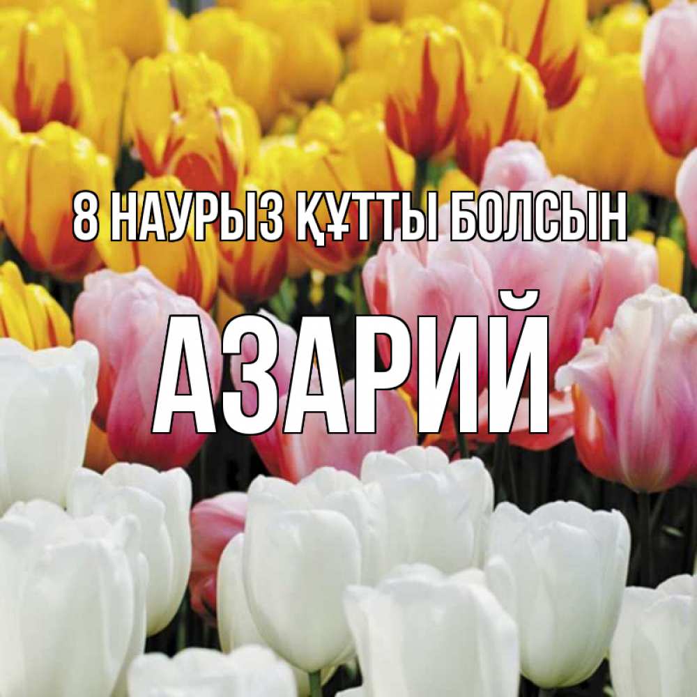 Күн сайын ашық хат с именем, Азарий 8 наурыз құтты болсын разноцветные цветы Онлайн тегін жүктеп алу тілектері бар керемет карта 