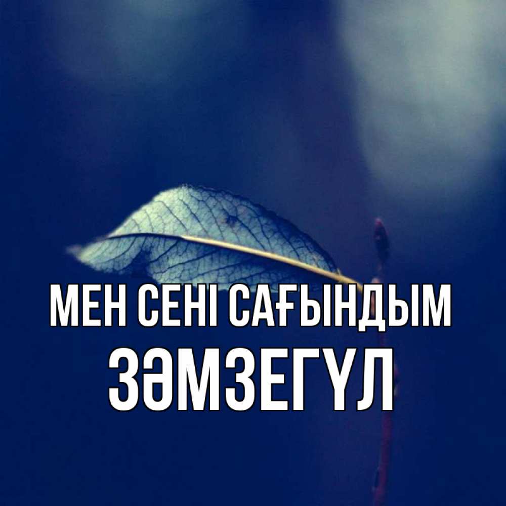 Күн сайын ашық хат с именем, ЗӘМЗЕГҮЛ Мен сені сағындым одна ветка 1 Онлайн тегін жүктеп алу тілектері бар керемет карта 