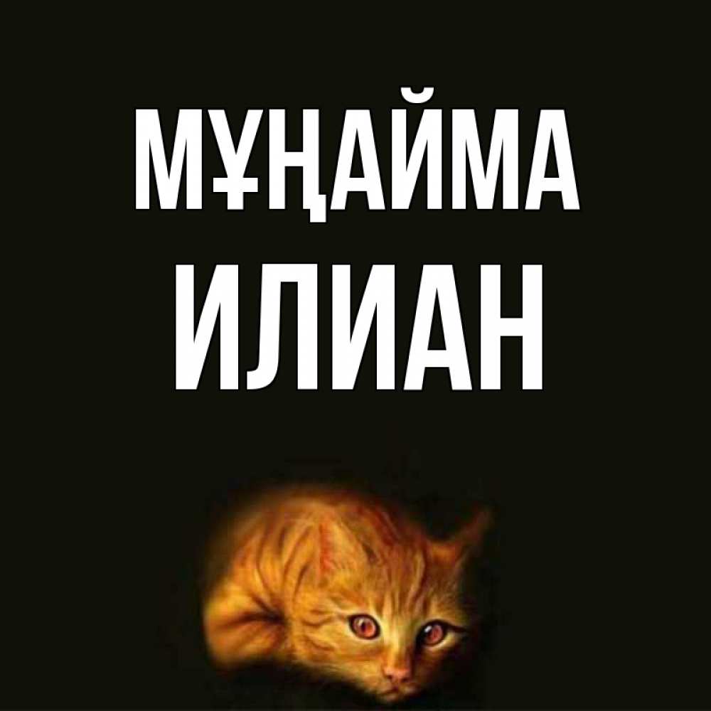 Күн сайын ашық хат с именем, Илиан Мұңайма лежащий кот в темноте Онлайн тегін жүктеп алу тілектері бар керемет карта 