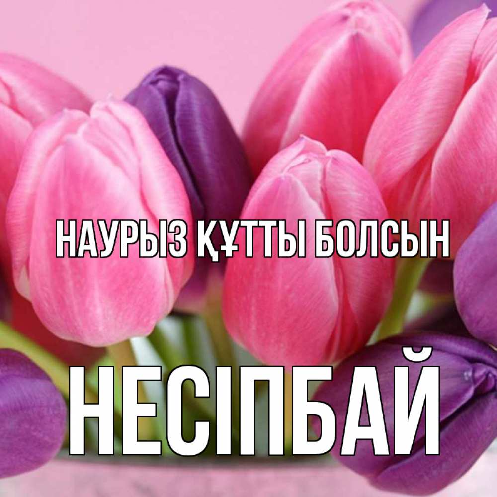Күн сайын ашық хат с именем, НЕСІПБАЙ Наурыз құтты болсын маме 1 Онлайн тегін жүктеп алу тілектері бар керемет карта 