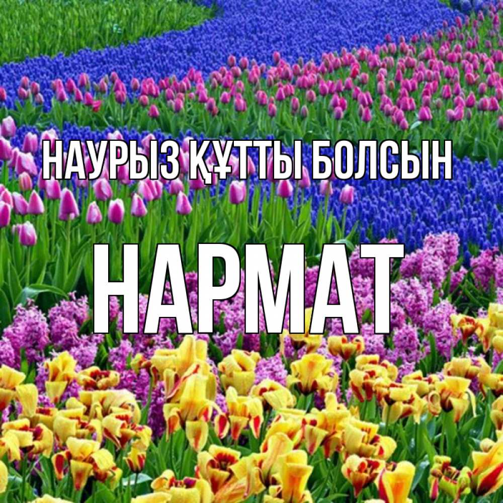 Күн сайын ашық хат с именем, Нармат Наурыз құтты болсын цветы Онлайн тегін жүктеп алу тілектері бар керемет карта 