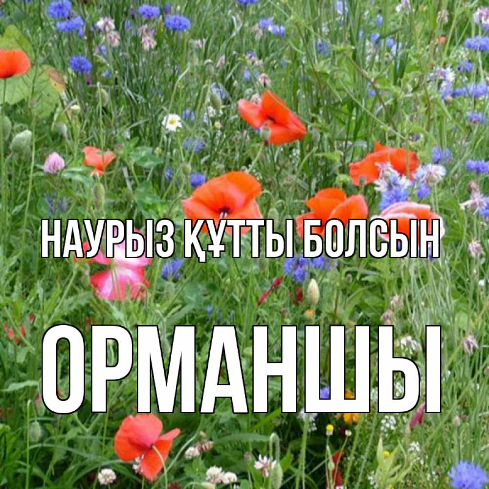 Күн сайын ашық хат с именем, ОРМАНШЫ Наурыз құтты болсын наурыз  4 Онлайн тегін жүктеп алу тілектері бар керемет карта 