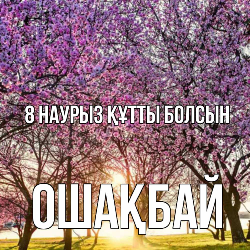 Күн сайын ашық хат с именем, ОШАҚБАЙ 8 наурыз құтты болсын международный женский день Онлайн тегін жүктеп алу тілектері бар керемет карта 