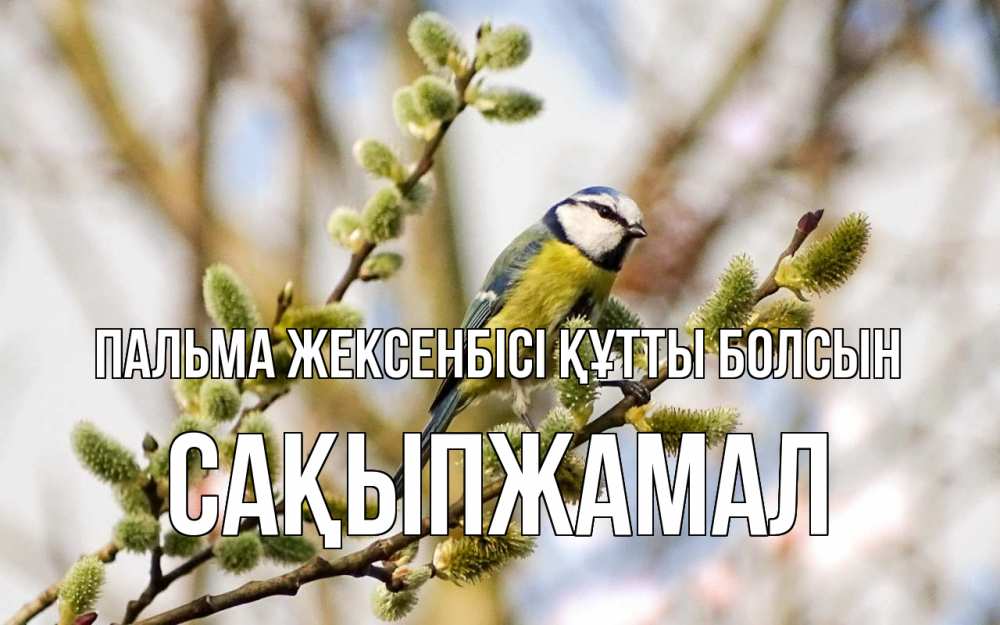 Күн сайын ашық хат с именем, САҚЫПЖАМАЛ Пальма жексенбісі құтты болсын верба Онлайн тегін жүктеп алу тілектері бар керемет карта 