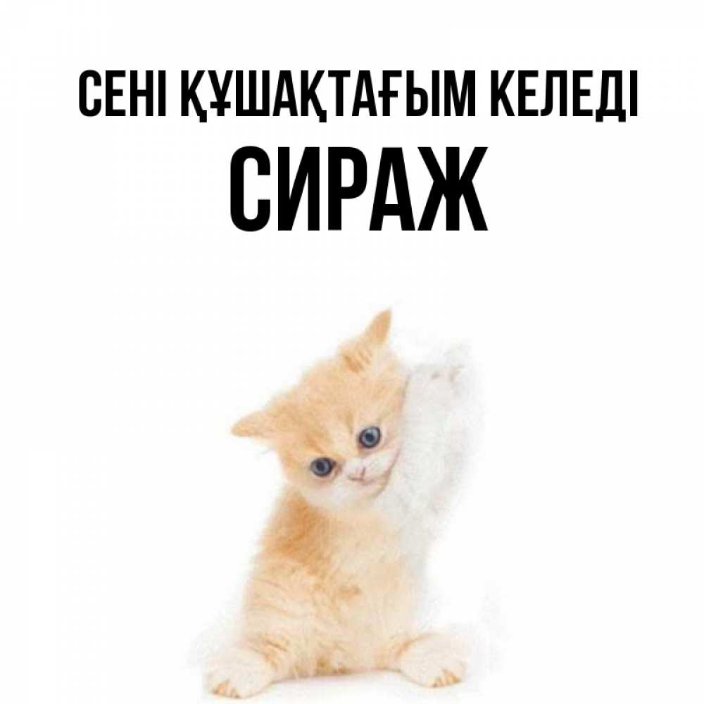 Күн сайын ашық хат с именем, СИРАЖ сені құшақтағым келеді я хочу очень скорее обнимаешек Онлайн тегін жүктеп алу тілектері бар керемет карта 