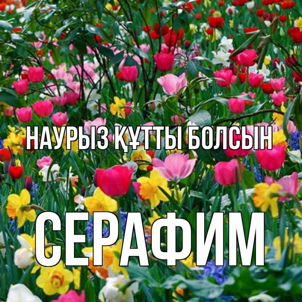 Күн сайын ашық хат с именем, Серафим Наурыз құтты болсын с наурызом поздравления для женщины Онлайн тегін жүктеп алу тілектері бар керемет карта 