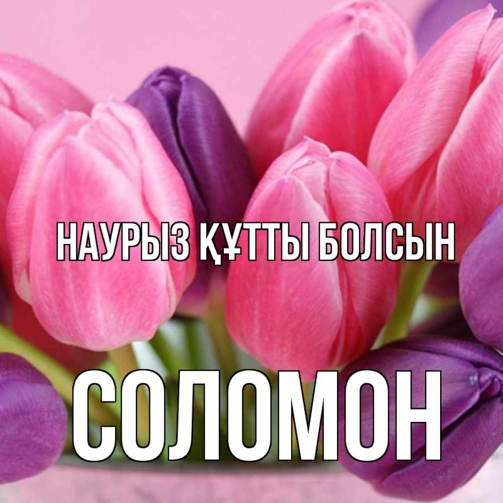 Күн сайын ашық хат с именем, Соломон Наурыз құтты болсын маме 1 Онлайн тегін жүктеп алу тілектері бар керемет карта 