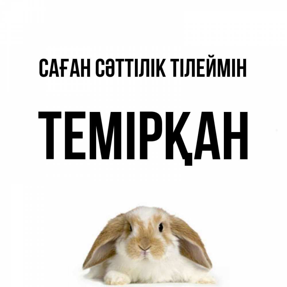 Күн сайын ашық хат с именем, ТЕМІРҚАН Саған сәттілік тілеймін открытки с произвольным текстом который можно вставить в открытку и создать ее самостоятельно бесплатно онлайн Онлайн тегін жүктеп алу тілектері бар керемет карта 