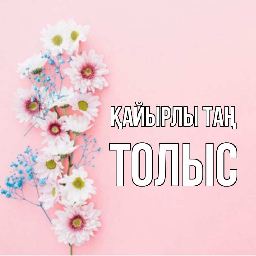 Күн сайын ашық хат с именем, ТОЛЫС Қайырлы таң цветы с подписью Онлайн тегін жүктеп алу тілектері бар керемет карта 