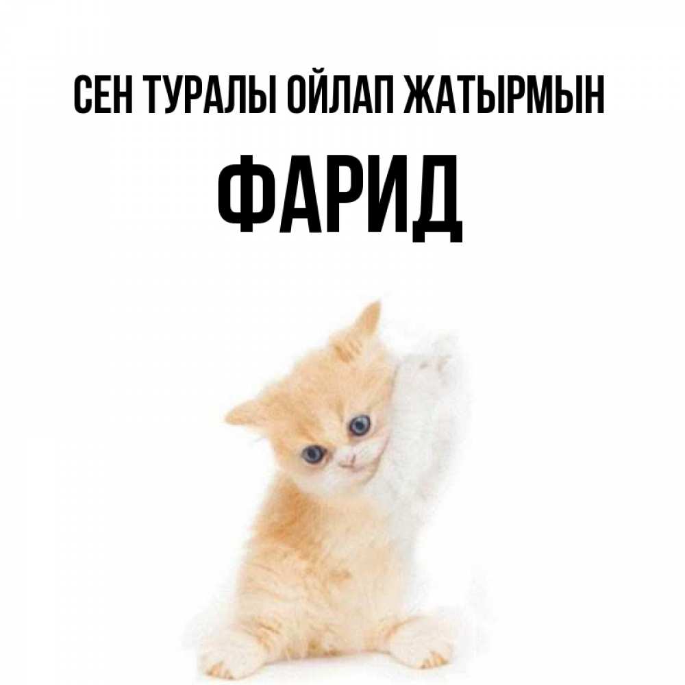 Күн сайын ашық хат с именем, ФАРИД Сен туралы ойлап жатырмын зверушки и милота Онлайн тегін жүктеп алу тілектері бар керемет карта 