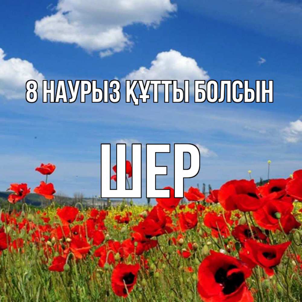 Күн сайын ашық хат с именем, ШЕР 8 наурыз құтты болсын международный женский день 1 Онлайн тегін жүктеп алу тілектері бар керемет карта 