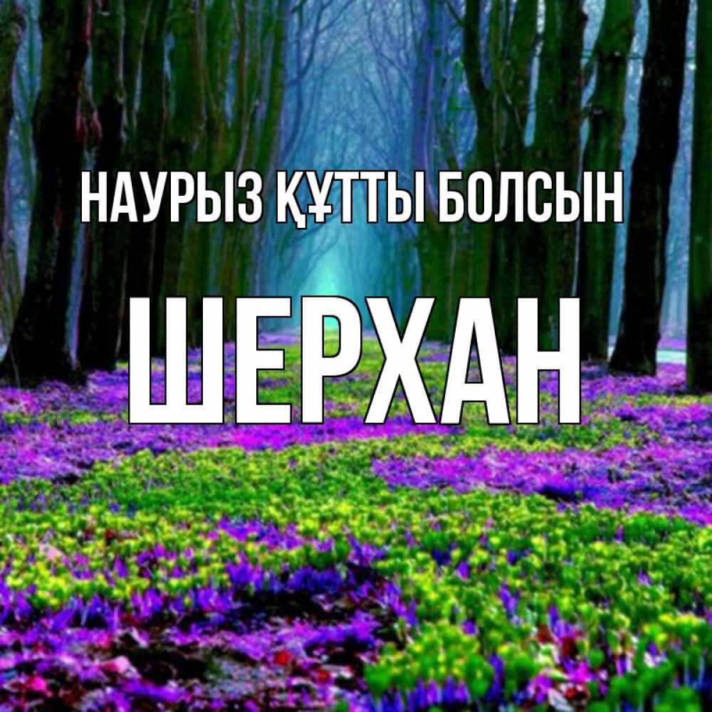 Күн сайын ашық хат с именем, ШЕРХАН Наурыз құтты болсын фиолетовые цветы в лесу 1 Онлайн тегін жүктеп алу тілектері бар керемет карта 