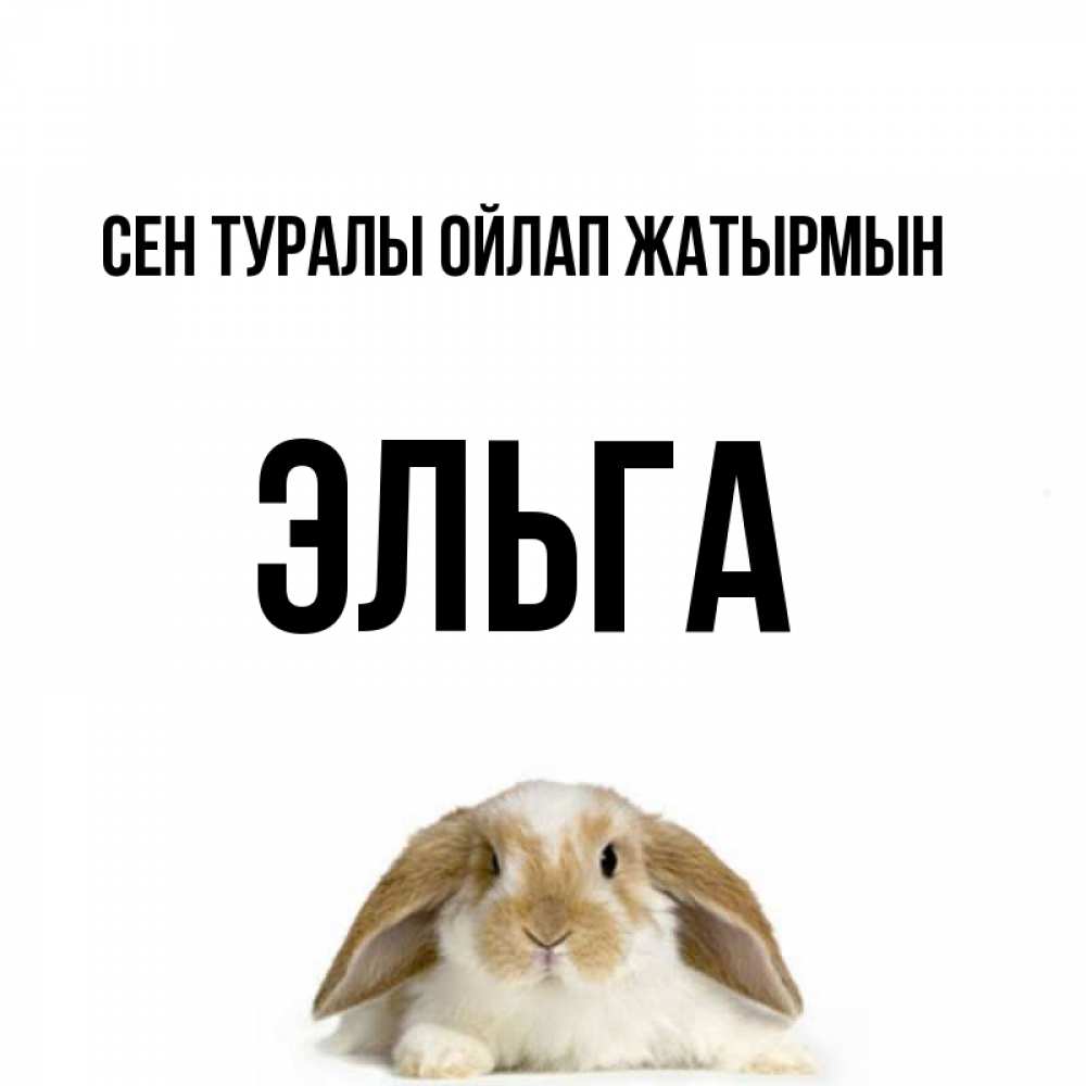 Күн сайын ашық хат с именем, Эльга Сен туралы ойлап жатырмын подписать своими руками онлайн Онлайн тегін жүктеп алу тілектері бар керемет карта 
