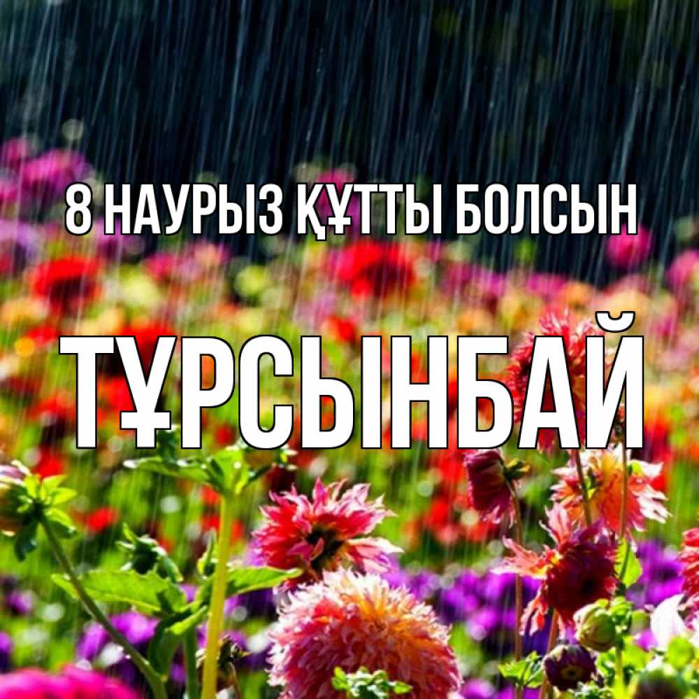 Күн сайын ашық хат с именем, ТҰРСЫНБАЙ 8 наурыз құтты болсын цветы под дождиком к международному женскому дню Онлайн тегін жүктеп алу тілектері бар керемет карта 