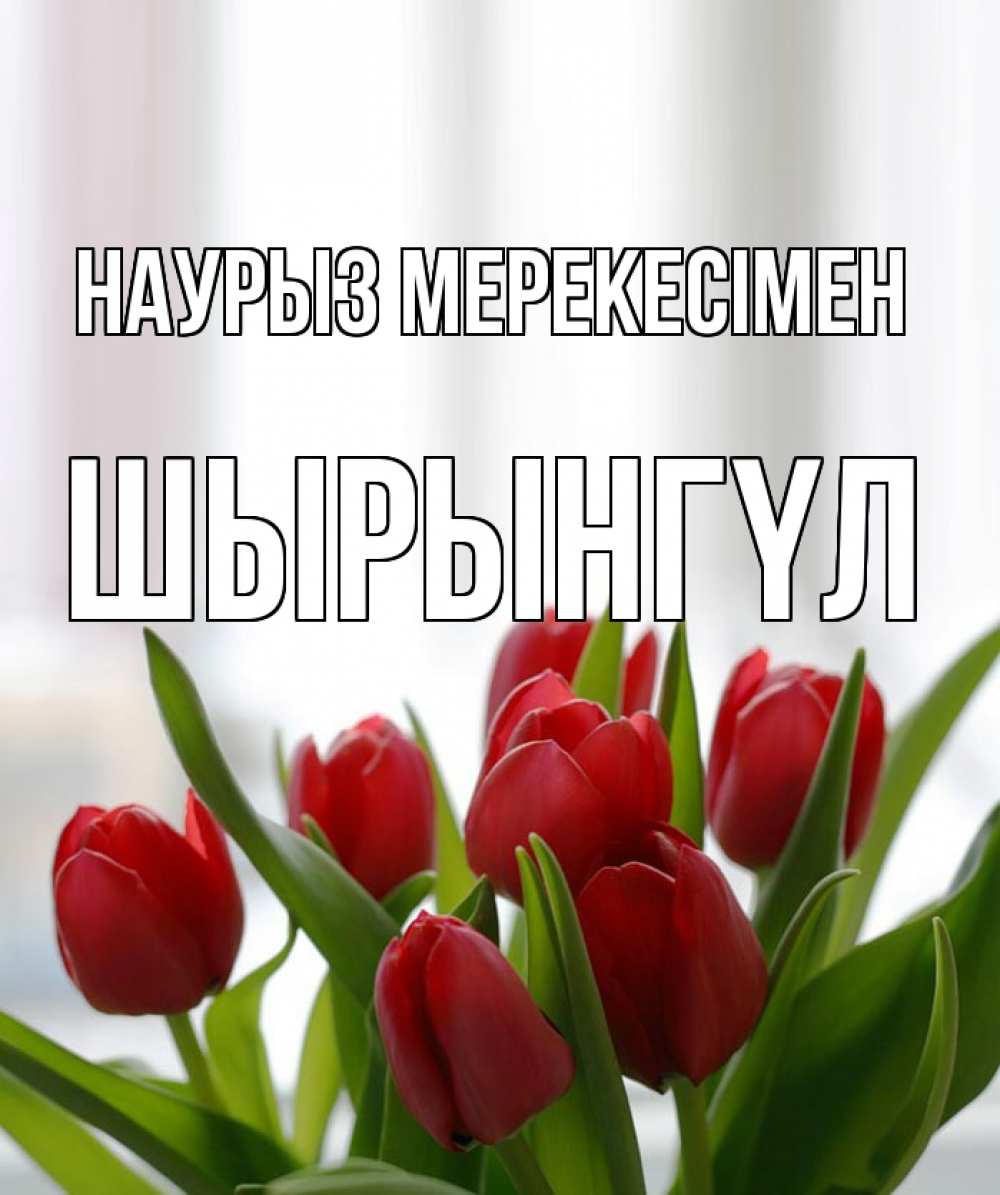 Күн сайын ашық хат с именем, ШЫРЫНГҮЛ Наурыз мерекесімен полевые цветы Онлайн тегін жүктеп алу тілектері бар керемет карта 