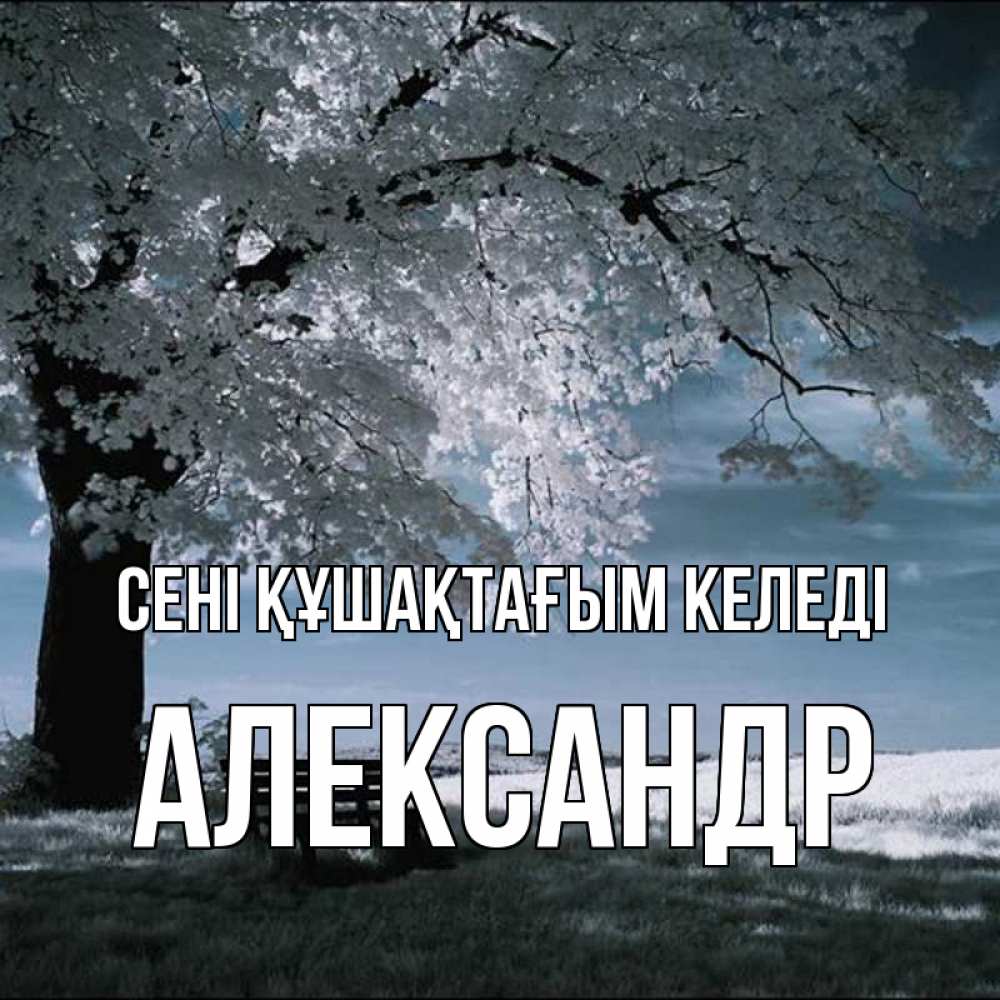 Күн сайын ашық хат с именем, Александр сені құшақтағым келеді дерево Онлайн тегін жүктеп алу тілектері бар керемет карта 