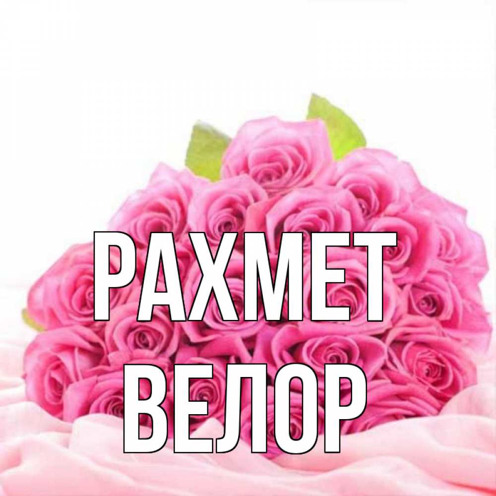 Күн сайын ашық хат с именем, Велор рахмет розовые розы с подписью Онлайн тегін жүктеп алу тілектері бар керемет карта 