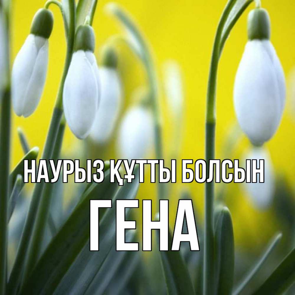 Күн сайын ашық хат с именем, Гена Наурыз құтты болсын весенние цветы Онлайн тегін жүктеп алу тілектері бар керемет карта 