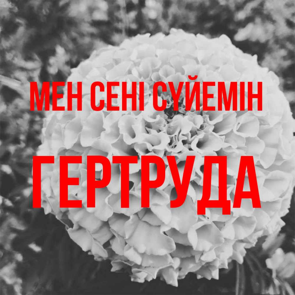 Күн сайын ашық хат с именем, Гертруда Мен сені сүйемін подпись Онлайн тегін жүктеп алу тілектері бар керемет карта 