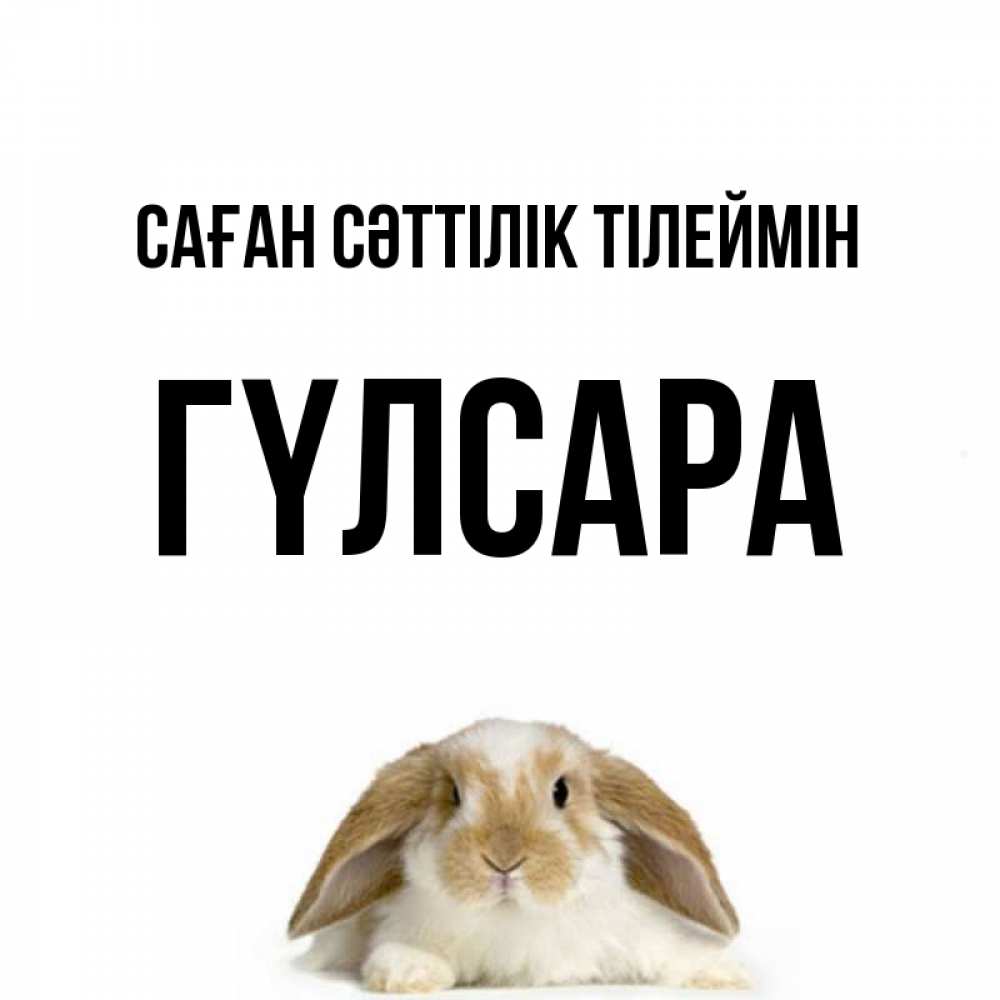 Күн сайын ашық хат с именем, ГҮЛСАРА Саған сәттілік тілеймін открытки с произвольным текстом который можно вставить в открытку и создать ее самостоятельно бесплатно онлайн Онлайн тегін жүктеп алу тілектері бар керемет карта 